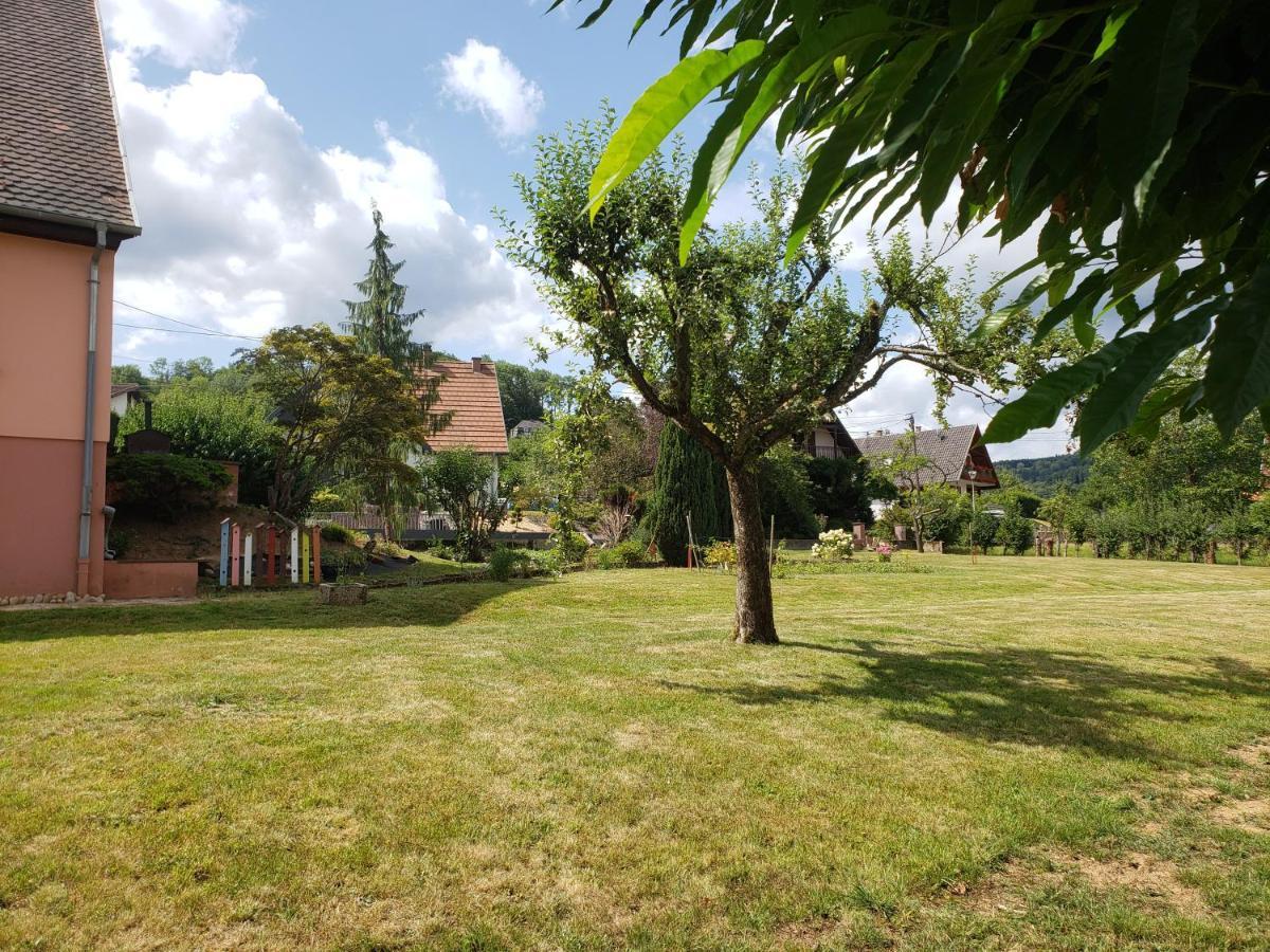 Le Souplex D'Anais Bed and Breakfast Schirmeck Εξωτερικό φωτογραφία