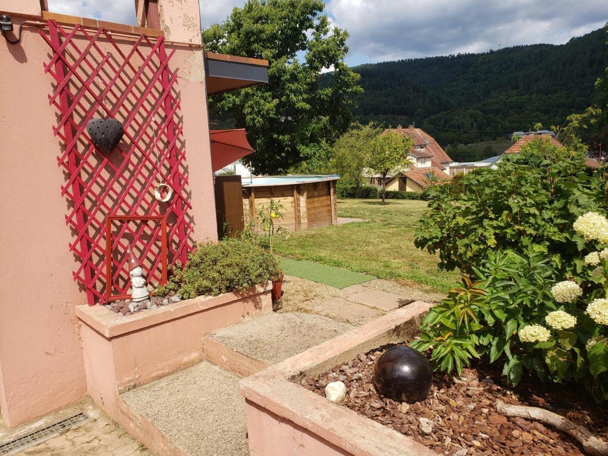 Le Souplex D'Anais Bed and Breakfast Schirmeck Εξωτερικό φωτογραφία